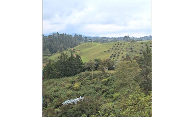 Venta finca en El Retiro, vista espectacular y a 5 minutos del parque.