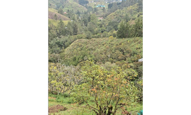 Venta finca en El Retiro, vista espectacular y a 5 minutos del parque.