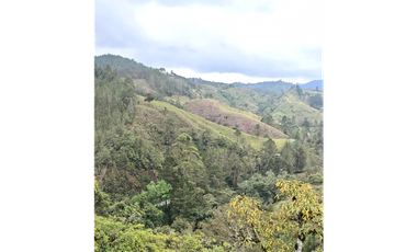 Venta finca en El Retiro, vista espectacular y a 5 minutos del parque.