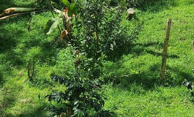 LOTE PARA ARRIENDO EN QUIEBRA DE VELEZ