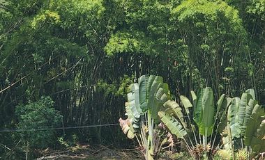 LOTE PARA ARRIENDO EN QUIEBRA DE VELEZ