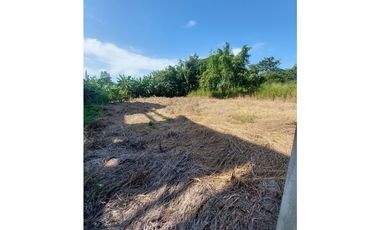 VENTA DE LOTE EN EL B/ SAN FRANCISCO DE MONTERIA