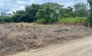VENTA DE LOTE EN EL B/ SAN FRANCISCO DE MONTERIA