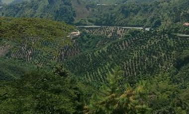 FINCA PARA VENTA EN CAMBIA