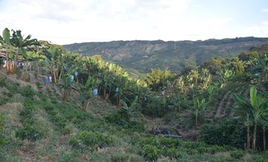 FINCA PARA VENTA EN PALESTINA