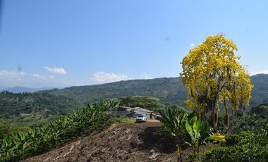 FINCA PARA VENTA EN PALESTINA