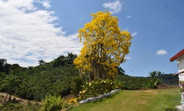 FINCA PARA VENTA EN PALESTINA
