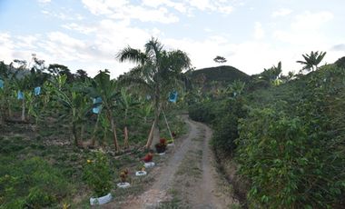 FINCA PARA VENTA EN PALESTINA