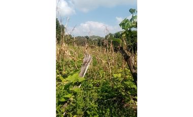 EXTENSO RANCHO EN CINTALAPA CHIPAS.