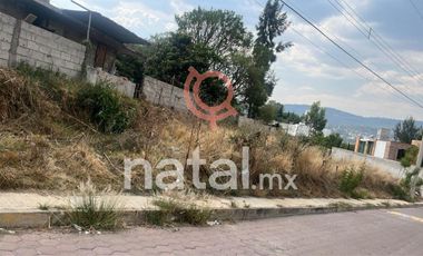 TERRENO EN VENTA La Trinidad Tepehitec TLAXCALA