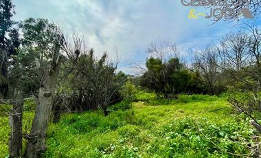 Sitio en Venta en Belloto norte, Quilpué