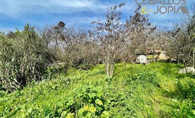 Sitio en Venta en Belloto norte, Quilpué
