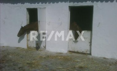 RANCHO EN VENTA EN ALMOLOYA DE JUAREZ  - (3)