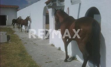 RANCHO EN VENTA EN ALMOLOYA DE JUAREZ  - (3)