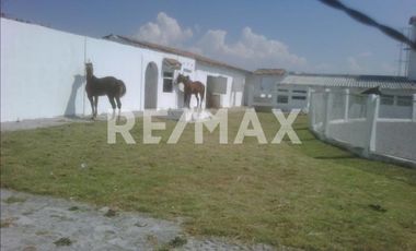 RANCHO EN VENTA EN ALMOLOYA DE JUAREZ  - (3)