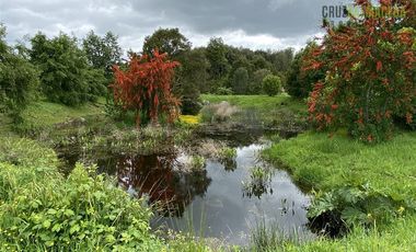 Parcela en Venta en Senderos del Bosque