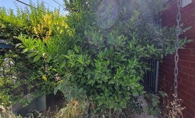 Casa en Venta en Av. Mexico/ Perpetua Freire