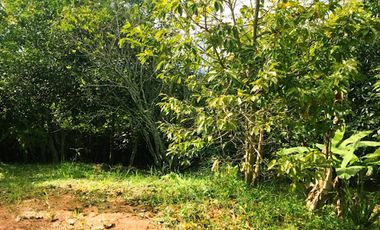 VENTA de CASA LOTE en FLORIDABLANCA