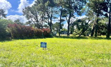LOTE EN LA CALETA