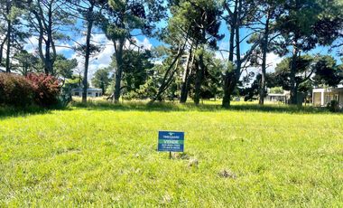 LOTE EN LA CALETA