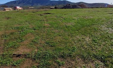 Casa en arriendo en ZAPALLAR