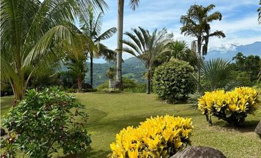 Finca en venta, Támesis, Antioquia