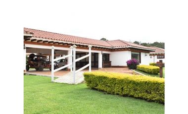 SE VENDE FINCA INDEPENDIENTE EN LA CEJA 3   CASAS Y PESEBRERA[alejoV]