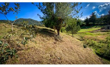 SE VENDE O PERMUTA  LOTE CAMPESTRE EN LA CEJA SECTOR LA CRISTALINA