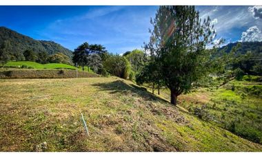 SE VENDE O PERMUTA  LOTE CAMPESTRE EN LA CEJA SECTOR LA CRISTALINA