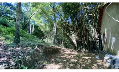 Venta lotes en MINCA – Sierra Nevada de SANTA MARTA, Colombia