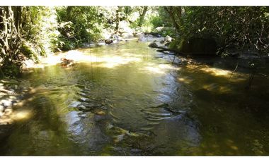 Venta lotes en MINCA – Sierra Nevada de SANTA MARTA, Colombia