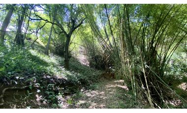 Venta lotes en MINCA – Sierra Nevada de SANTA MARTA, Colombia