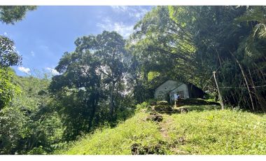 Venta lotes en MINCA – Sierra Nevada de SANTA MARTA, Colombia