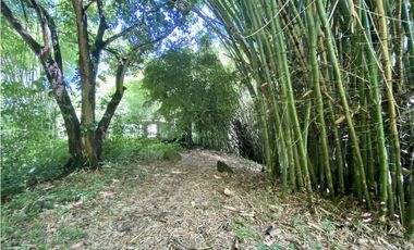 Venta lotes en MINCA – Sierra Nevada de SANTA MARTA, Colombia