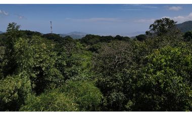 Venta lotes en MINCA – Sierra Nevada de SANTA MARTA, Colombia