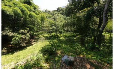 Venta lotes en MINCA – Sierra Nevada de SANTA MARTA, Colombia