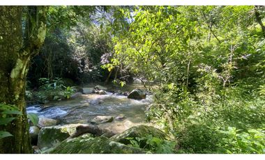 Venta lotes en MINCA – Sierra Nevada de SANTA MARTA, Colombia