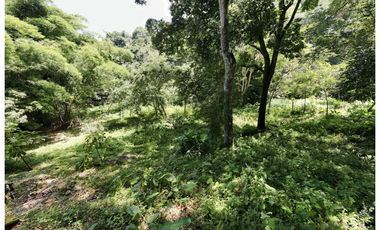 Venta lotes en MINCA – Sierra Nevada de SANTA MARTA, Colombia