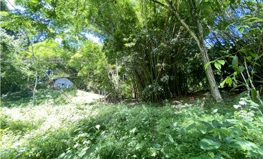 Venta lotes en MINCA – Sierra Nevada de SANTA MARTA, Colombia