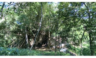 Venta lotes en MINCA – Sierra Nevada de SANTA MARTA, Colombia