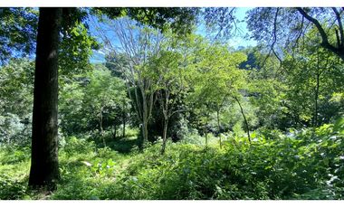 Venta lotes en MINCA – Sierra Nevada de SANTA MARTA, Colombia