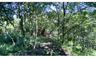Venta lotes en MINCA – Sierra Nevada de SANTA MARTA, Colombia