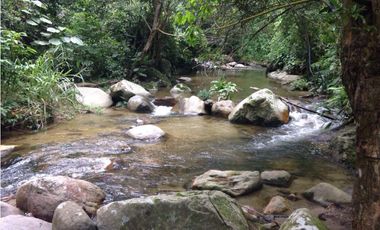 Venta lotes en MINCA – Sierra Nevada de SANTA MARTA, Colombia