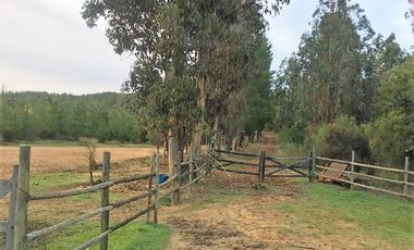 Parcela en venta en CAUQUENES