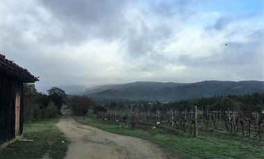 Parcela en venta en CAUQUENES