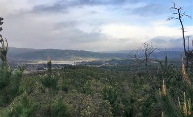 Parcela en venta en CAUQUENES