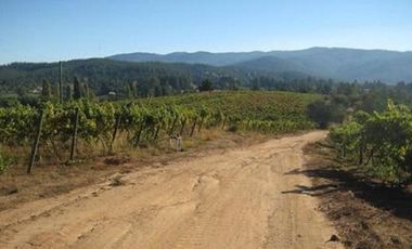 Parcela en venta en CAUQUENES