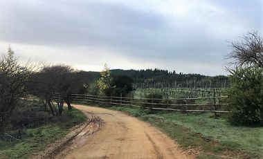 Parcela en venta en CAUQUENES