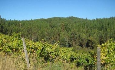 Parcela en venta en CAUQUENES