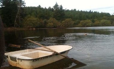 Parcela en venta en CAUQUENES